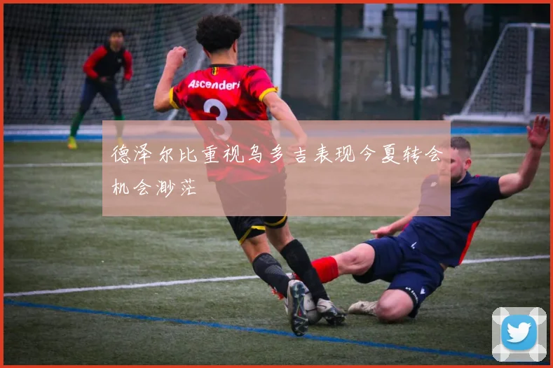 德泽尔比重视乌多吉表现今夏转会机会渺茫