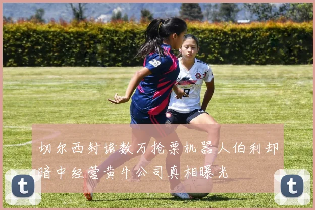 切尔西封堵数万抢票机器人伯利却暗中经营黄牛公司真相曝光